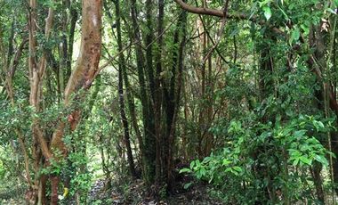 Sitio en Venta en playa lelbun