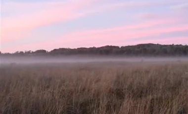 Sitio en Venta en playa lelbun