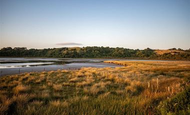 Sitio en Venta en playa lelbun