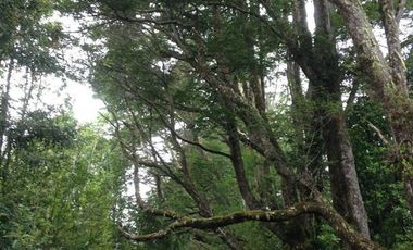 Sitio en Venta en playa lelbun