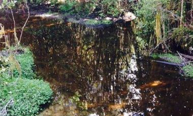 Sitio en Venta en playa lelbun