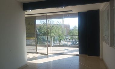 Local renta en Metepec