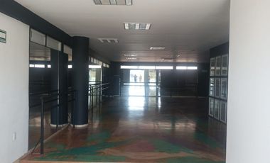 Local renta en Metepec