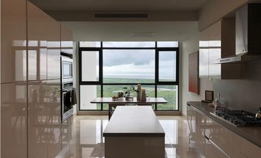 APARTAMENTO VENTA SANTA MARIA PH ALBATROSS