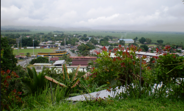 TERRENO DE 79.3 HAS CON QUEBRADA EN CHANGUINOLA, BOCAS DEL TORO