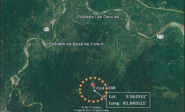 TERRENO DE 79.3 HAS CON QUEBRADA EN CHANGUINOLA, BOCAS DEL TORO