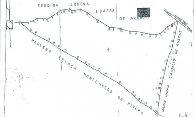 TERRENO DE 79.3 HAS CON QUEBRADA EN CHANGUINOLA, BOCAS DEL TORO