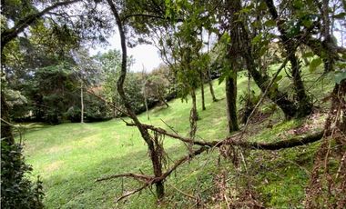 Lote Parcelacion Alto Palmas (Envigado)