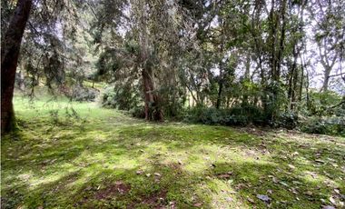 Lote Parcelacion Alto Palmas (Envigado)
