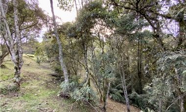 Lote Parcelacion Alto Palmas (Envigado)