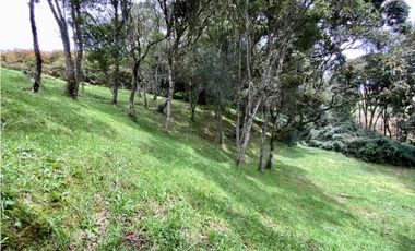 Lote Parcelacion Alto Palmas (Envigado)