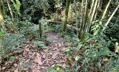 Lote Parcelacion Alto Palmas (Envigado)