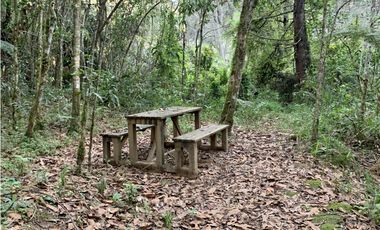 Lote Parcelacion Alto Palmas (Envigado)