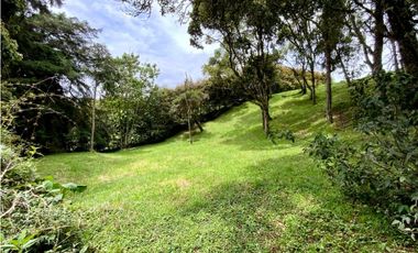 Lote Parcelacion Alto Palmas (Envigado)