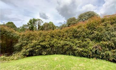 Lote Parcelacion Alto Palmas (Envigado)