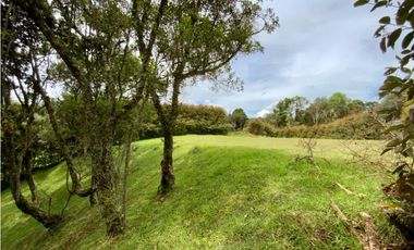 Lote Parcelacion Alto Palmas (Envigado)