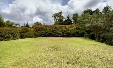 Lote Parcelacion Alto Palmas (Envigado)