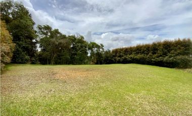 Lote Parcelacion Alto Palmas (Envigado)