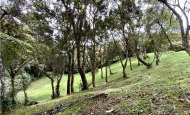 Lote Parcelacion Alto Palmas (Envigado)