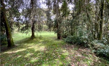 Lote Parcelacion Alto Palmas (Envigado)