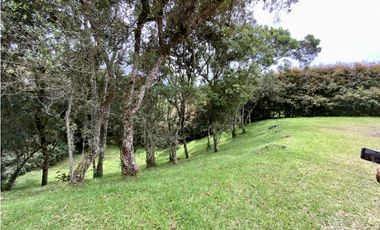 Lote Parcelacion Alto Palmas (Envigado)