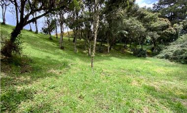 Lote Parcelacion Alto Palmas (Envigado)