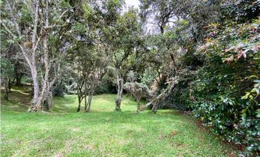 Lote Parcelacion Alto Palmas (Envigado)