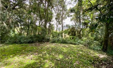 Lote Parcelacion Alto Palmas (Envigado)