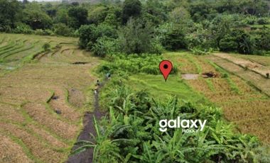 DIJUAL TANAH UMALALANG CEMAGI MENGWI BADUNG, BALI