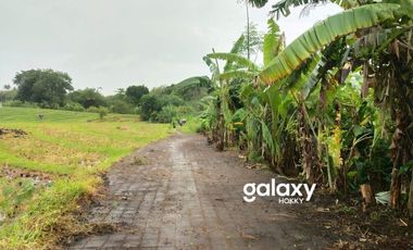 DIJUAL TANAH UMALALANG CEMAGI MENGWI BADUNG, BALI