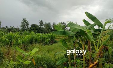 DIJUAL TANAH UMALALANG CEMAGI MENGWI BADUNG, BALI