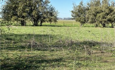 Campo en venta en Brandsen. 49 Has mixto