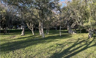Campo en venta en Brandsen. 49 Has mixto