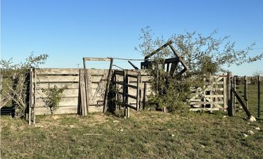 Campo en venta en Brandsen. 49 Has mixto