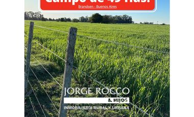 Campo en venta en Brandsen. 49 Has mixto