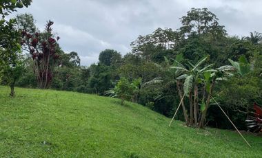 finca en venta en vereda arrayan. Cod V9763526