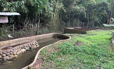 finca en venta en vereda arrayan. Cod V9763526