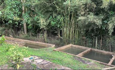 finca en venta en vereda arrayan. Cod V9763526