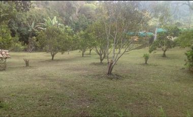 finca en venta en vereda arrayan. Cod V9763526