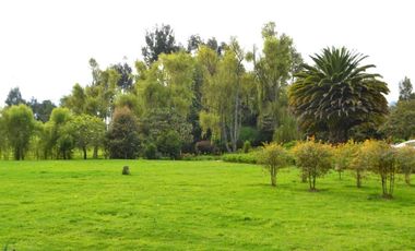 finca en arriendo en el rosal. Cod A7161