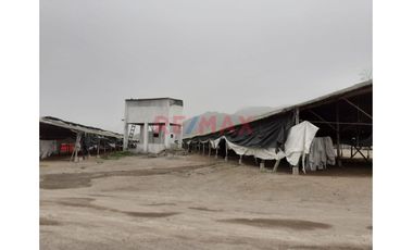 Oportunidad Estratégica: 15 Ha A 35 Min Del Mega Puerto De Chancay - Ideal Para Agroindustria O Logística