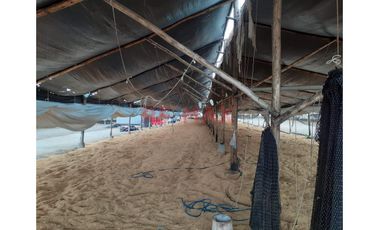 Oportunidad Estratégica: 15 Ha A 35 Min Del Mega Puerto De Chancay - Ideal Para Agroindustria O Logística