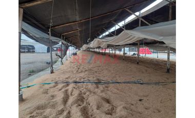 Oportunidad Estratégica: 15 Ha A 35 Min Del Mega Puerto De Chancay - Ideal Para Agroindustria O Logística