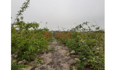 Oportunidad Estratégica: 15 Ha A 35 Min Del Mega Puerto De Chancay - Ideal Para Agroindustria O Logística