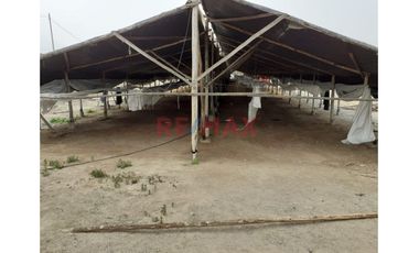 Oportunidad Estratégica: 15 Ha A 35 Min Del Mega Puerto De Chancay - Ideal Para Agroindustria O Logística