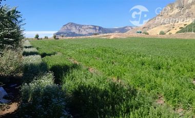 Agrícola en Venta en Valle Simpson a 10 Kilómetros de Coyhaique