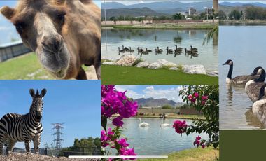 TERRENOS EN VENTA EN CAMPESTRE VILLA JUAREZ, CIUDAD JUAREZ DURANGO