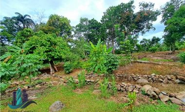 LOTE HABITACIONAL/COMERCIAL ENTRE BUGABA Y LA FRONTERA