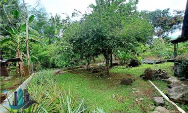 LOTE HABITACIONAL/COMERCIAL ENTRE BUGABA Y LA FRONTERA