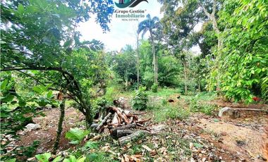 LOTE HABITACIONAL/COMERCIAL ENTRE BUGABA Y LA FRONTERA